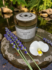 Lavender Bee